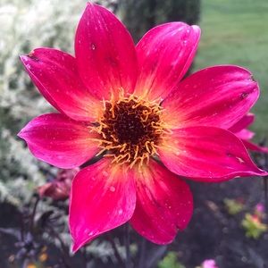 Meet your Posher, Krista